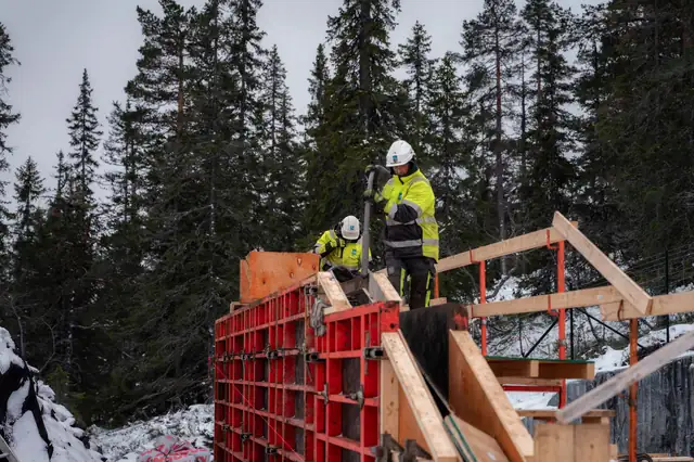 Fagarbeidere i rød forskaling mellom grantrærne.